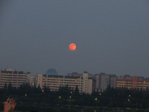 the moon is orange here just fyi 