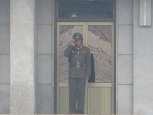 A North Korean soldier from afar
